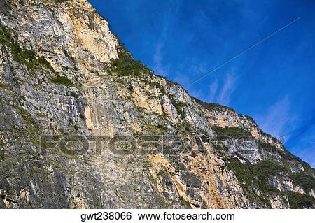 Stock Photograph - Trees on a mountain, Sumidero Canyon, Chiapas, Mexico. Fotosearch