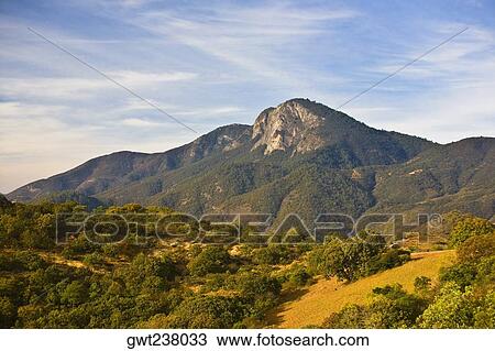 Trees on a rolling landscape with a mountain in the background, Hierve El Agua, Oaxaca, Oaxaca State, Mexico View Large Photo Image Stock Image - Trees on a rolling landscape with a mountain in the background, Hierve El Agua, Oaxaca, Oaxaca State, Mexico. Fotosearch