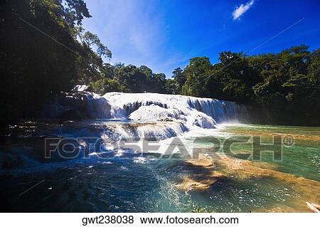 Waterfall in a forest, Agua Azul Waterfalls, Chiapas, Mexico View Large Photo Image Stock Photo - Waterfall in a forest, Agua Azul Waterfalls, Chiapas, Mexico. Fotosearch
