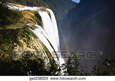 Waterfall in a forest, Tamul Waterfall, Aquismon, San Luis Potosi, Mexico View Large Photo Image Stock Photography - Waterfall in a forest, Tamul Waterfall, Aquismon, San Luis Potosi, Mexico. Fotosearch