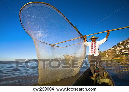 Fisherman with butterfly fishing net in a lake, Janitzio Island, Lake Patzcuaro, Patzcuaro, Michoacan State, Mexico View Large Photo Image Picture - Fisherman with butterfly fishing net in a lake, Janitzio Island, Lake Patzcuaro, Patzcuaro, Michoacan State, Mexico. Fotosearch