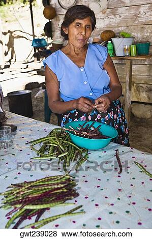 Mature woman peeling beans in a kitchen, Papantla, Veracruz, Mexico View Large Photo Image Stock Photo - Mature woman peeling beans in a kitchen, Papantla, Veracruz, Mexico. Fotosearch