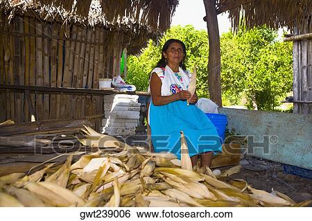 Mature woman peeling corn, Papantla, Veracruz, Mexico View Large Photo Image Stock Photograph - Mature woman peeling corn, Papantla, Veracruz, Mexico. Fotosearch