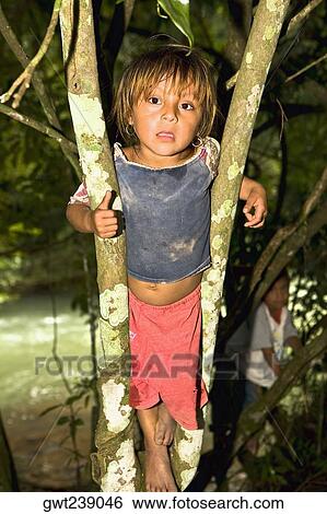 Portrait of a boy climbing a tree, Agua Azul Cascades, Chiapas, Mexico View Large Photo Image Stock Photograph - Portrait of a boy climbing a tree, Agua Azul Cascades, Chiapas, Mexico. Fotosearch