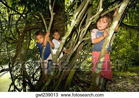 Three children climbing on trees, Agua Azul Cascades, Chiapas, Mexico View Large Photo Image Stock Image - Three children climbing on trees, Agua Azul Cascades, Chiapas, Mexico. Fotosearch