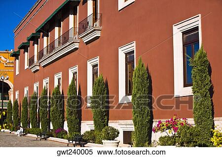 Trees in front of a government building, Palacio De Gobierno, Aguascalientes, Mexico View Large Photo Image Stock Photography - Trees in front of a government building, Palacio De Gobierno, Aguascalientes, Mexico. Fotosearch