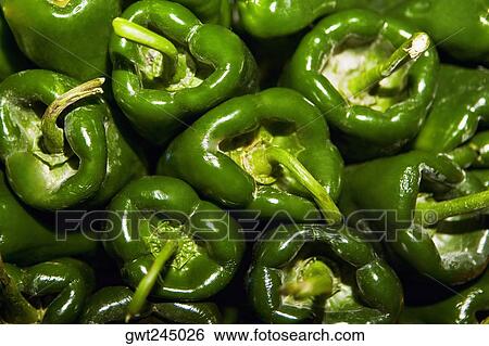 Close-up of green bell peppers at a market stall, Zacatecas State, Mexico View Large Photo Image Stock Photograph - Close-up of green bell peppers at a market stall, Zacatecas State, Mexico. Fotosearch