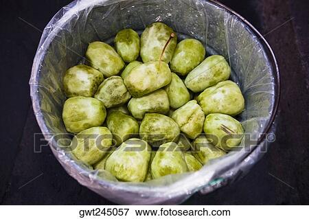 Stock Photo - High angle view of prickly pears in a bucket. Fotosearch