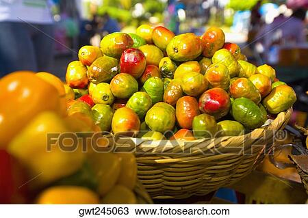 Vegetables at a market stall, San Juan Nuevo, Michoacan State, Mexico View Large Photo Image Stock Image - Vegetables at a market stall, San Juan Nuevo, Michoacan State, Mexico. Fotosearch