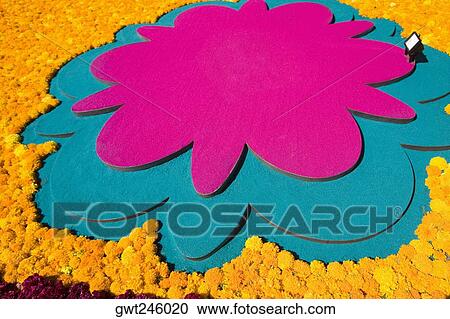 Flowers on a grave, Morelia, Michoacan State, Mexico View Large Photo Image Stock Image - Flowers on a grave, Morelia, Michoacan State, Mexico. Fotosearch