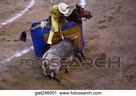 High angle view of a bull fighting, Plaza De Toros San Marcos, Aguascalientes, Mexico View Large Photo Image Stock Image - High angle view of a bull fighting, Plaza De Toros San Marcos, Aguascalientes, Mexico. Fotosearch