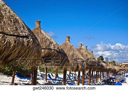 Palapas and lounge chairs on the beach, Tulum, Quintan Roo, Mexico View Large Photo Image Stock Image - Palapas and lounge chairs on the beach, Tulum, Quintan Roo, Mexico. Fotosearch