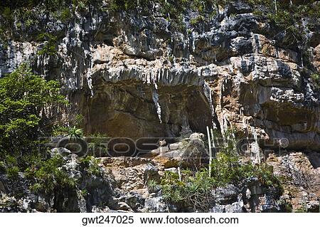 High angle view of rock formations, Sumidero Canyon, Chiapas, Mexico View Large Photo Image Stock Photography - High angle view of rock formations, Sumidero Canyon, Chiapas, Mexico. Fotosearch