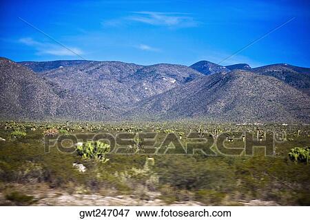 Panoramic view of mountains, San Luis Potosi, Mexico View Large Photo Image Stock Photo - Panoramic view of mountains, San Luis Potosi, Mexico. Fotosearch