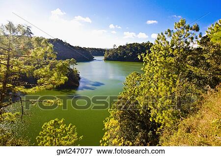 Reflection of trees in water, Lagunas De Montebello National Park, Chiapas, Mexico View Large Photo Image Stock Photo - Reflection of trees in water, Lagunas De Montebello National Park, Chiapas, Mexico. Fotosearch