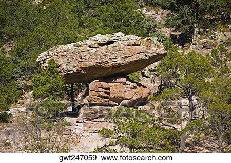 Rock formations in a forest, Sierra De Organos, Sombrerete, Zacatecas State, Mexico View Large Photo Image Stock Photo - Rock formations in a forest, Sierra De Organos, Sombrerete, Zacatecas State, Mexico. Fotosearch