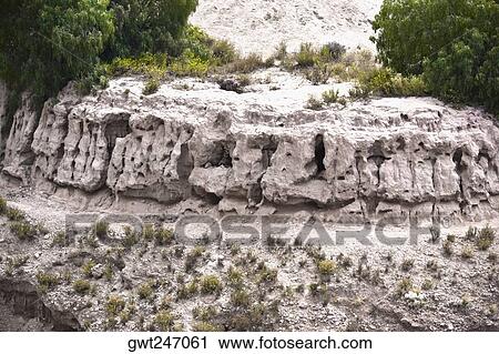 Stock Image - Trees on a rock formation, Real De Catorce, San Luis Potosi, Mexico. Fotosearch