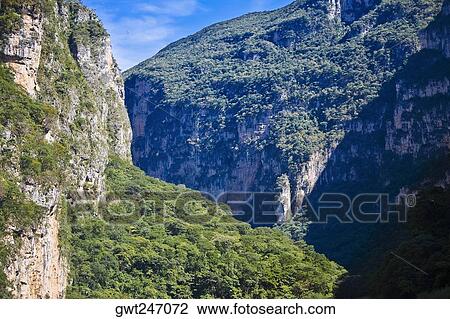 Trees on mountains, Sumidero Canyon, Chiapas, Mexico View Large Photo Image Stock Image - Trees on mountains, Sumidero Canyon, Chiapas, Mexico. Fotosearch
