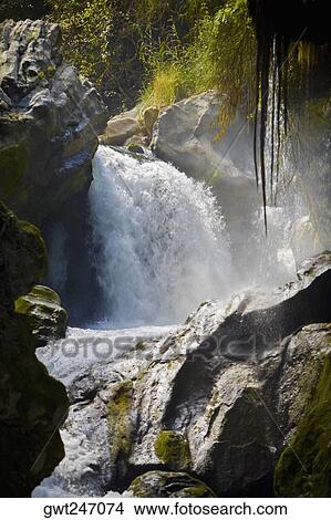 Picture - Waterfall in a forest, Puente De Dios, San Luis Potosi, Mexico. Fotosearch