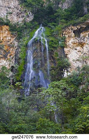Waterfall in a forest, Sumidero Canyon, Chiapas, Mexico View Large Photo Image Stock Photograph - Waterfall in a forest, Sumidero Canyon, Chiapas, Mexico. Fotosearch