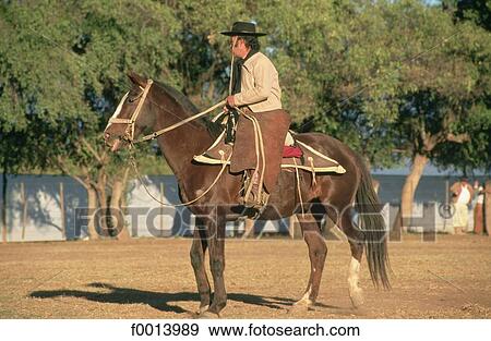 animal, South America, open air, travel exterior, travel, Argentina View Large Photo Image Stock Photo - animal, South America, open air, travel exterior, travel, Argentina. Fotosearch