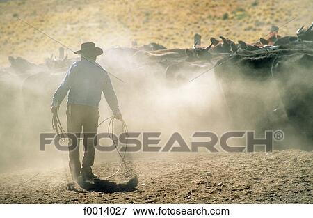 Stock Photo - animal, South America, open air, travel exterior, travel, Argentina. Fotosearch