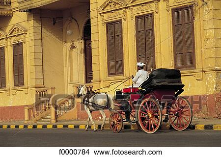Picture - barouche, Egypt, Northern Africa, transport, transportation, harnessing, Luxor. Fotosearch
