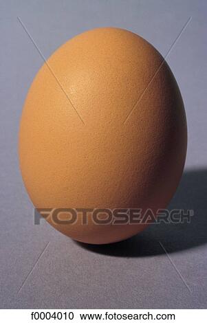 beige, egg, shell, hard boiled egg, eggs, aliment View Large Photo Image Stock Image - beige, egg, shell, hard boiled egg, eggs, aliment. Fotosearch