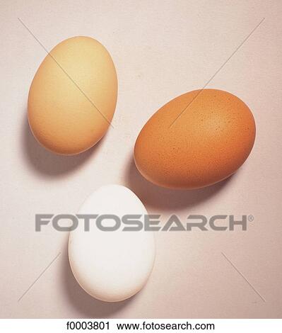 beige, egg, white, hard boiled egg, eggs, shell, aliment View Large Photo Image Stock Image - beige, egg, white, hard boiled egg, eggs, shell, aliment. Fotosearch