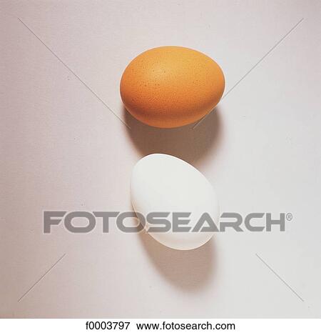 beige, egg, white, hard boiled egg, eggs, aliment View Large Photo Image Stock Photo - beige, egg, white, hard boiled egg, eggs, aliment. Fotosearch