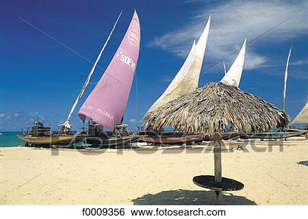 Stock Photograph - Brazil, South America, travel, travel exterior, open air, coastal landscape. Fotosearch