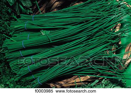 bunch, aromatic, chive, condiment, green, aliment View Large Photo Image Stock Photography - bunch, aromatic, chive, condiment, green, aliment. Fotosearch