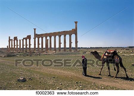Stock Image - camel, camel driver, vestige, ruin, antiquity, animal, animals. Fotosearch