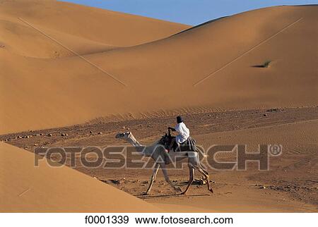 camel driver, dune, sand, landscape, landscapes, scene, scenery View Large Photo Image Stock Photo - camel driver, dune, sand, landscape, landscapes, scene, scenery. Fotosearch