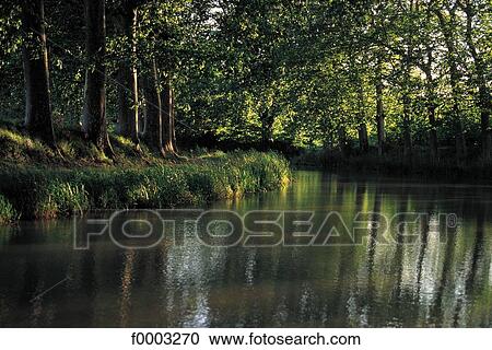 canal, Canal du Midi, Europe, France, French, French Herault, Languedoc Roussillon View Large Photo Image Stock Image - canal, Canal du Midi, Europe, France, French, French Herault, Languedoc Roussillon. Fotosearch