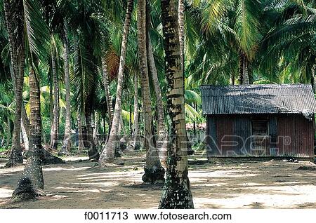 Caribbean, Dominican Republic, Las Terranas, travel, travel exterior, open air View Large Photo Image Stock Image - Caribbean, Dominican Republic, Las Terranas, travel, travel exterior, open air. Fotosearch