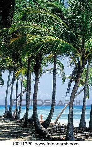 Caribbean, Dominican Republic, travel, travel exterior, open air, Punta Bonita View Large Photo Image Stock Photo - Caribbean, Dominican Republic, travel, travel exterior, open air, Punta Bonita. Fotosearch