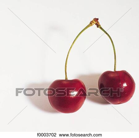 cherry, stone fruit, aliment, fruit, red, inside View Large Photo Image Stock Image - cherry, stone fruit, aliment, fruit, red, inside. Fotosearch