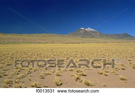 Chile, exterior, open air, South America, landscape, landscapes View Large Photo Image Stock Image - Chile, exterior, open air, South America, landscape, landscapes. Fotosearch