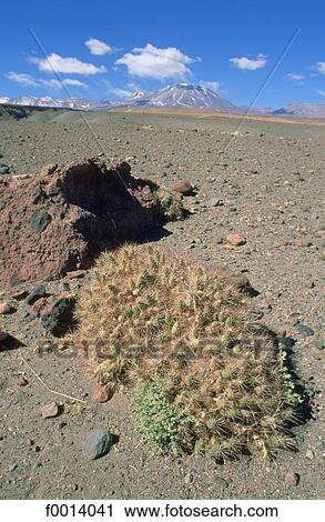 Stock Image - Chile, exterior, open air, South America, landscape, landscapes, scene. Fotosearch