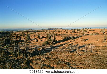 Chile, exterior, open air, South America, landscape, landscapes View Large Photo Image Stock Photo - Chile, exterior, open air, South America, landscape, landscapes. Fotosearch