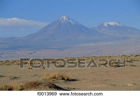 Chile, exterior, open air, South America, landscape, landscapes, scene View Large Photo Image Stock Photo - Chile, exterior, open air, South America, landscape, landscapes, scene. Fotosearch