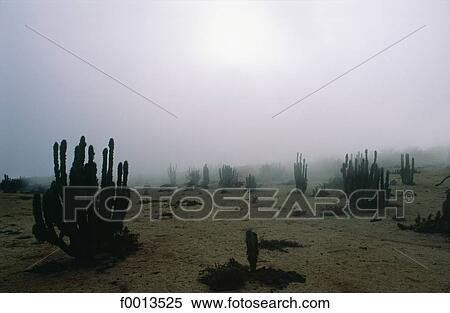 Stock Photography - Chile, exterior, open air, South America, landscape, landscapes. Fotosearch