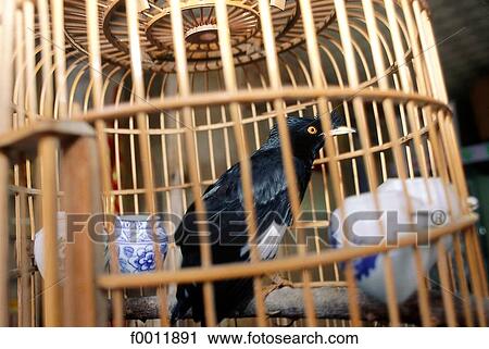 China, Asia, Hong Kong, travel, travel inside, indoors View Large Photo Image Stock Image - China, Asia, Hong Kong, travel, travel inside, indoors. Fotosearch