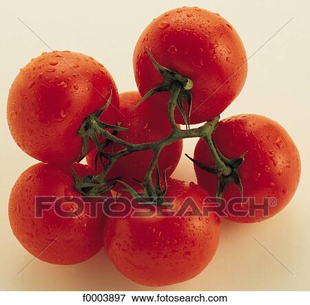 cluster, vegetable, tomatoes, tomato, fruit vegetable, red, aliment View Large Photo Image Stock Photo - cluster, vegetable, tomatoes, tomato, fruit vegetable, red, aliment. Fotosearch