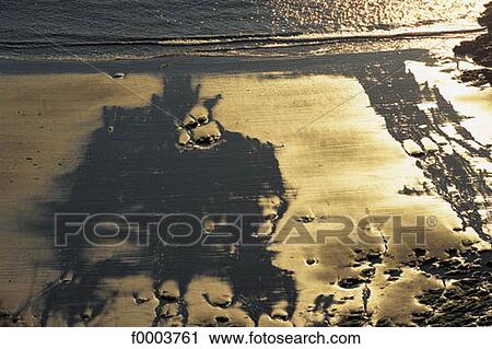 coastal landscape, coast, littoral, sea-side, seaside, beach, beaches View Large Photo Image Stock Image - coastal landscape, coast, littoral, sea-side, seaside, beach, beaches. Fotosearch