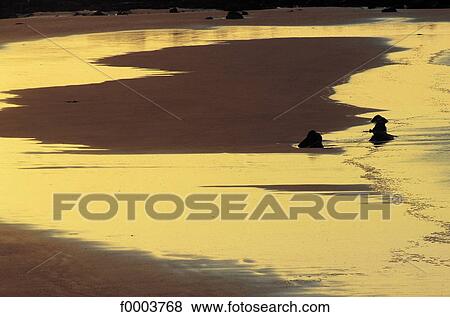 coastal landscape, coast, littoral, sea-side, seaside, sea, beach View Large Photo Image Stock Photo - coastal landscape, coast, littoral, sea-side, seaside, sea, beach. Fotosearch