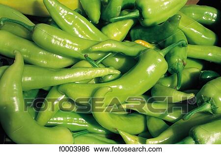 condiment, aliment, pepper, green pepper, green, vegetable, fruit vegetable View Large Photo Image Stock Photograph - condiment, aliment, pepper, green pepper, green, vegetable, fruit vegetable. Fotosearch