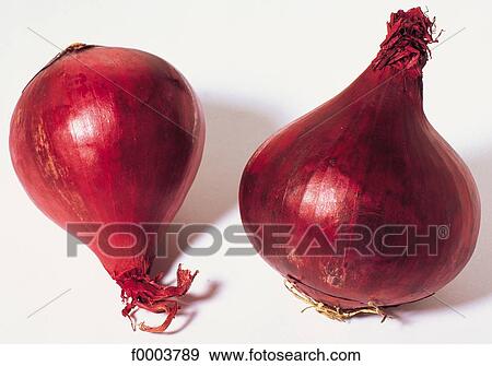 condiment, vegetable, red, shallot, bulb vegetable, aliment View Large Photo Image Stock Photo - condiment, vegetable, red, shallot, bulb vegetable, aliment. Fotosearch