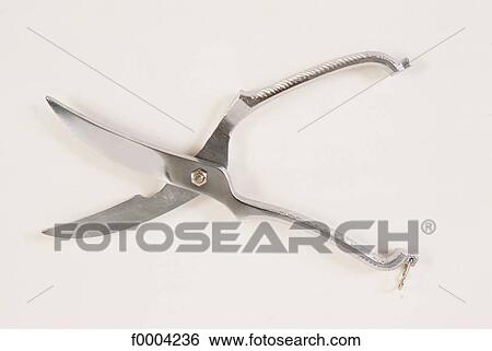 Stock Photograph - cutting, pruning shears, scissor, gardening, blade, tool, metal. Fotosearch